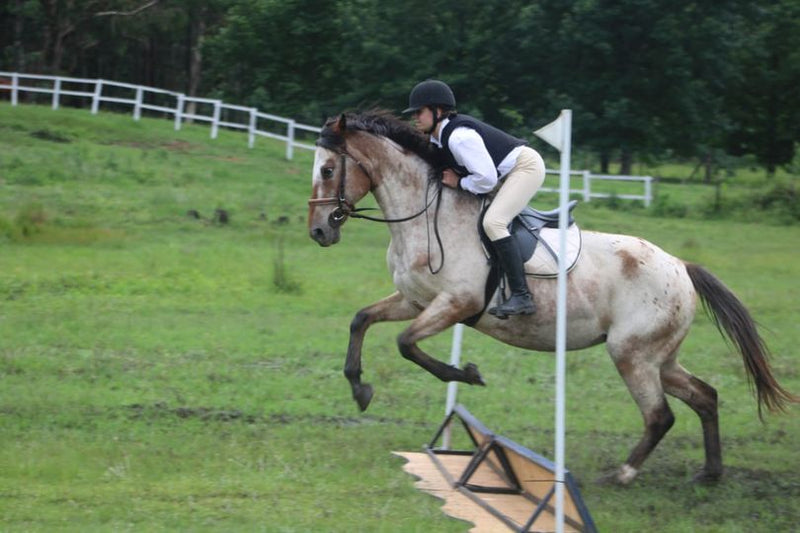 Class 20: Rosefield Eventing Challenge Series Leg 2