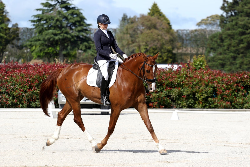 Class 30: Eventing Dressage  Adult / Junior 65 and 75cm (Prelim)