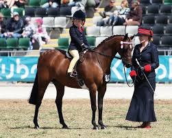 Class 4: Childs Lead Rein Working Riding